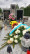 kwiaty na grobie lucjana franczaka 3.jpg