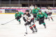 hokej21.jpg