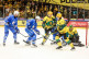 hokej22a.jpg